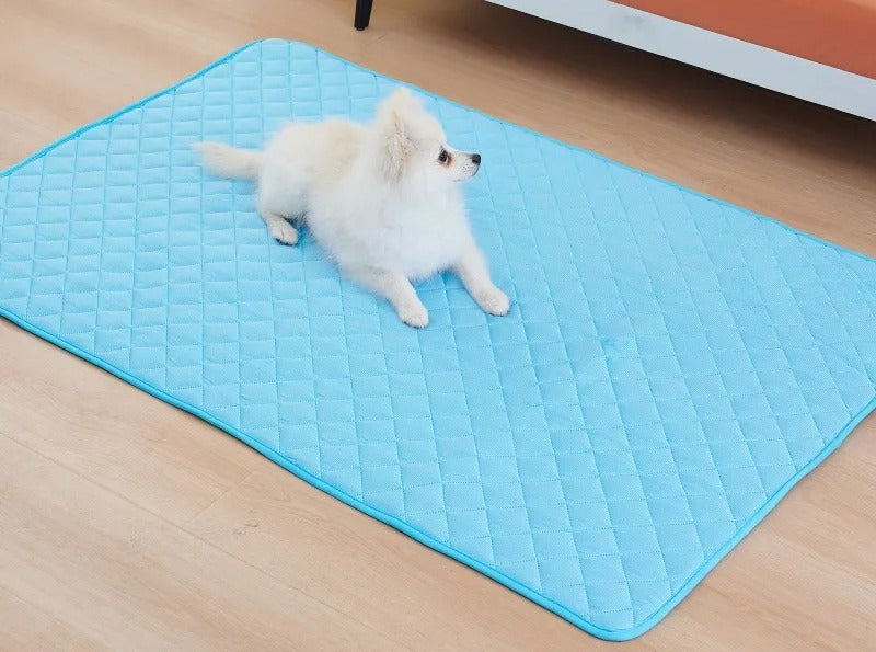 Small white dog resting on a blue quilted ice silk cooling mat laid flat on a wood floor