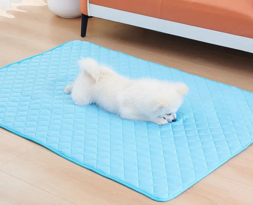 Dog stretched out flat on the blue cooling mat beside a bed, showing the full rectangular mat