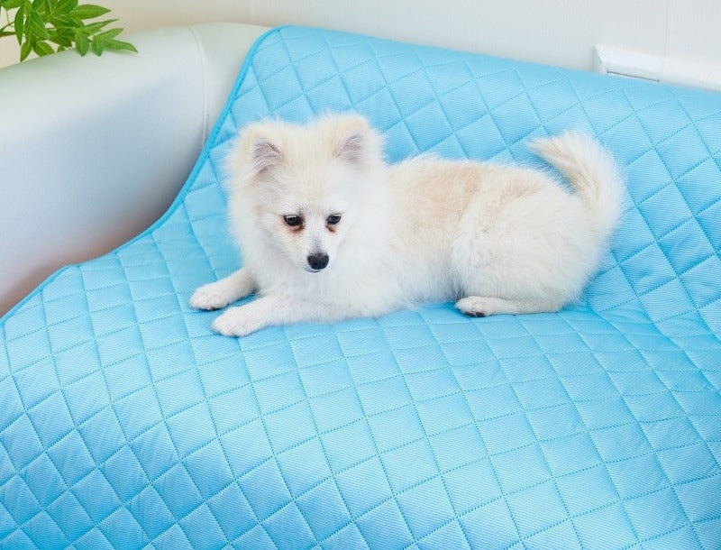 Blue ice silk cooling mat draped over a sofa cushion with a small dog lying on top