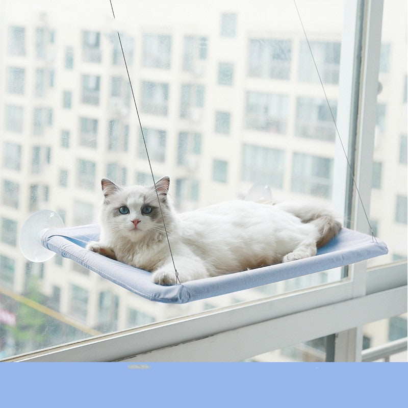 Blue suction cup cat window hammock mounted on apartment glass with a white cat resting on it